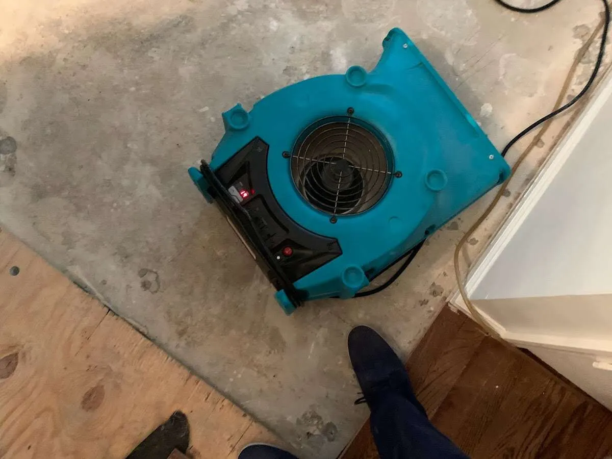 Air mover drying subfloor during Commercial Water Damage Restoration in Moultrie